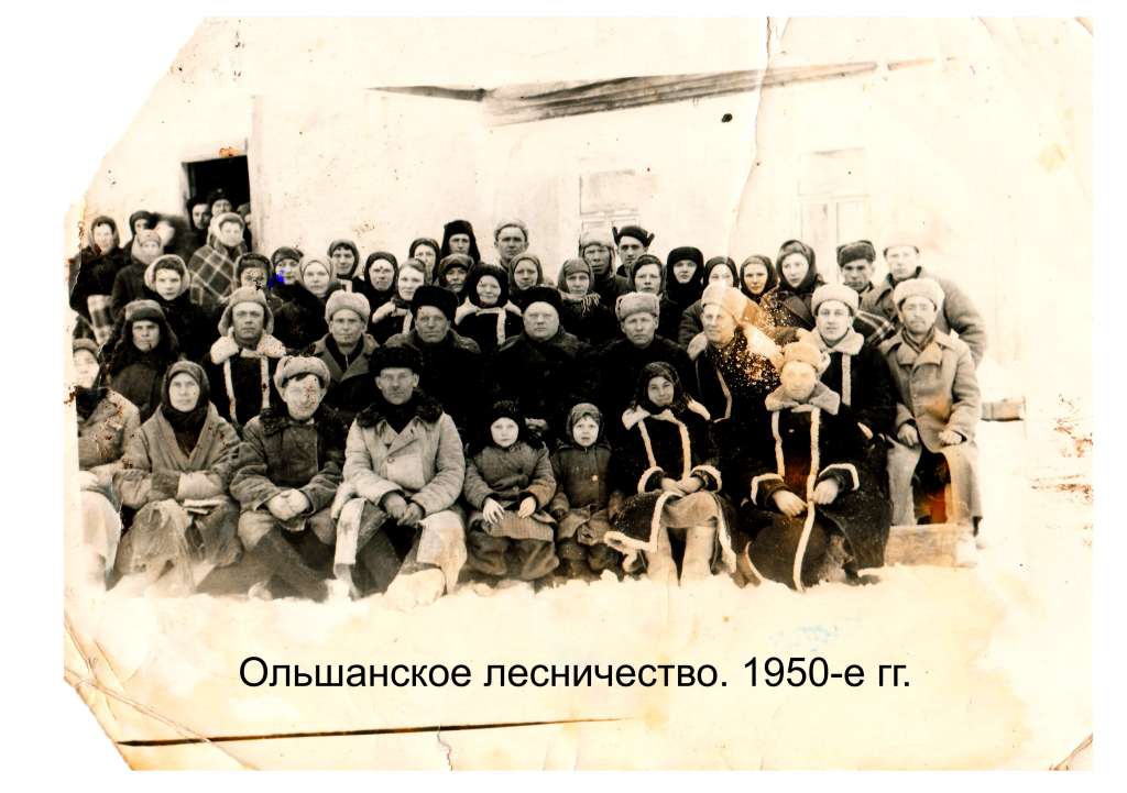 Ольшанское лесничество 1950 г..